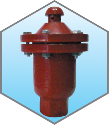 Automatic Air Release Valve